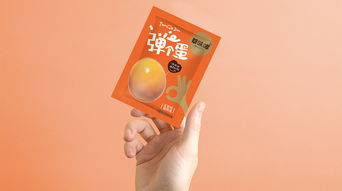 華味嘟豆干制品 logo設(shè)計(jì)和包裝設(shè)計(jì)