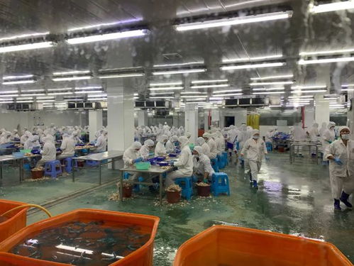 牛蛙豪華工廠登陸美國媒體，海之味引領(lǐng)循環(huán)水養(yǎng)殖新標(biāo)準(zhǔn)