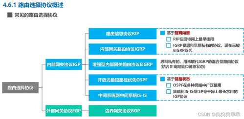 路由信息協議RIP在計算機網絡與信息安全軟件開發中的作用